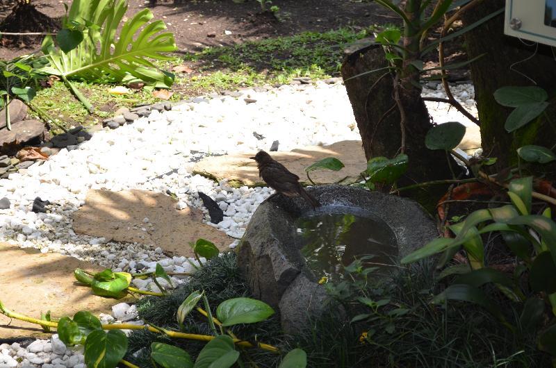 Hotel Aromax Del Campestre ميديلين المظهر الخارجي الصورة